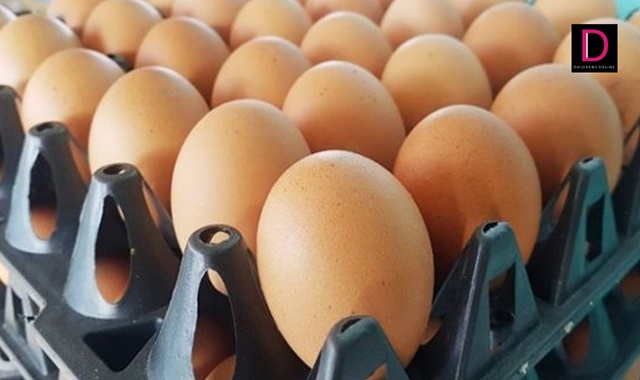 สุดช้ำ ค่าครองชีพพุ่งอีก ผู้เลี้ยงไก่ไข่ แจ้งขึ้นราคาไข่คละ หน้าฟาร์ม ฟอง 3 บ.