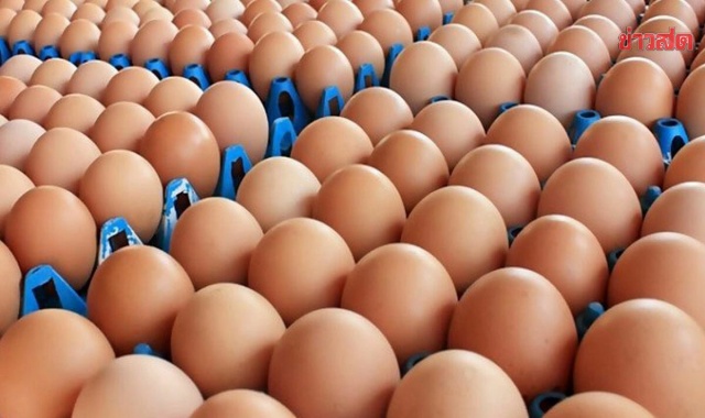ส.เลี้ยงไก่ไข่ ชงพาณิชย์ ขอขึ้นราคาไข่คละหน้าฟาร์ม โอดแบกต้นทุนต่อไม่ไหวแล้ว มีแต่เจ๊ง