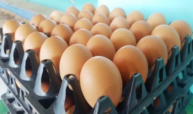 “ไข่บิ๊กตู่”แพงไม่หยุด วันนี้ปรับขึ้นเป็นฟองละ 3.40 บาท